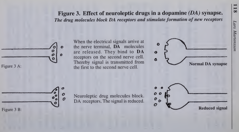 Figura 3 A B